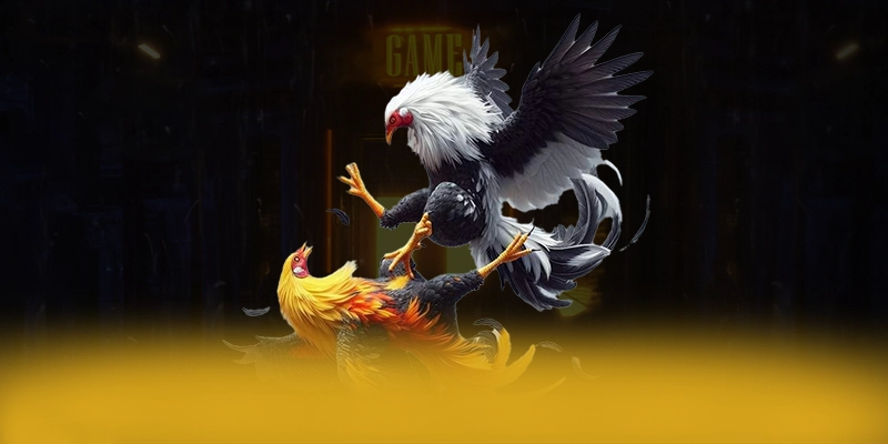 SUNWIN - Cổng giải trí quy tụ nhiều siêu phẩm hot được game thủ lựa chọn – Khám phá ngay các trò chơi tại SUNWIN