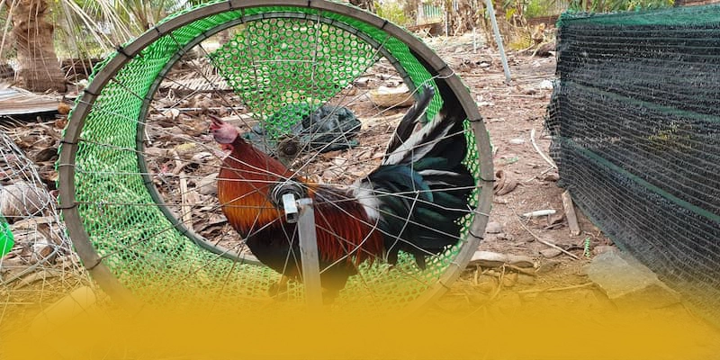 tỷ lệ kèo bóng đá – Cổng giải trí đẳng cấp, được người chơi yêu thích.