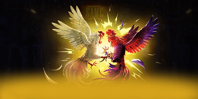 
Khám phá thế giới của WIN79 - Nhà cái được đánh giá cao được cộng đồng đánh giá cao
