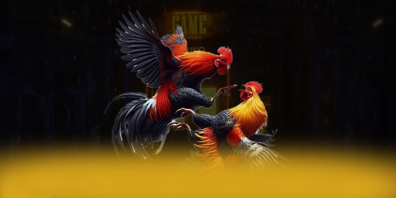 
Cập nhật thông tin về RR99 - Thương hiệu phổ biến nhất số 1 Việt Nam
