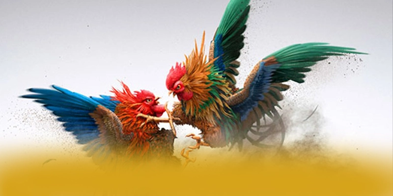 BL555 - Cổng trò chơi được game thủ tin tưởng 2025 BL555 - Cổng trò chơi được game thủ tin tưởng 2025