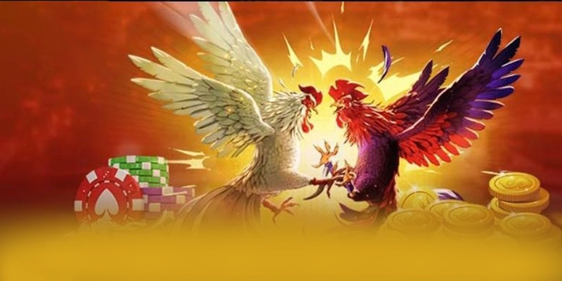 KKWIN - Ứng dụng giải trí với chính sách tặng thưởng đẳng cấp được cộng đồng game thủ yêu thích – Khám phá ưu đãi hot của KKWIN