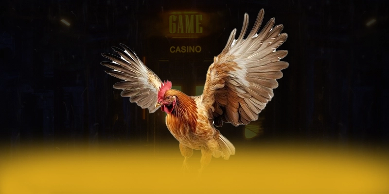 vào rồi tv - Cổng thể thao sở hữu hệ thống live betting hồi hộp nhất